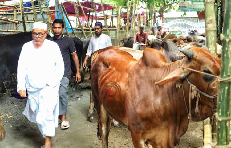 বাজার ঘুরে দেখছেন ক্রেতারা। ছবি: মাহবুব আলম