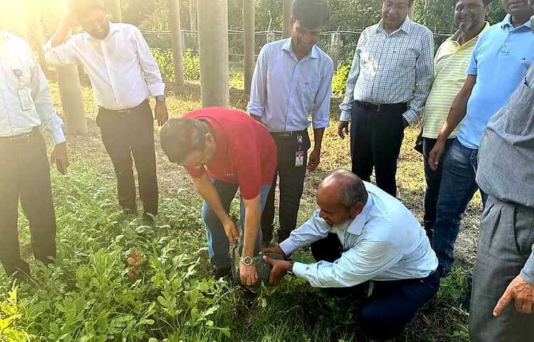 জানা গেছে, পাইলট প্রকল্প হিসেবে পরীক্ষামূলকভাবে এসব সবজি চাষ করা হচ্ছে। ছবি: এম এ মালেক