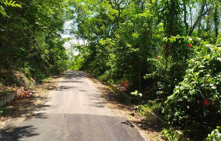 চট্টগ্রামের মিরসরাই ও ফটিকছড়ি উপজেলার নারায়ণহাট সড়কটির দৈর্ঘ্য ১৯ কিলোমিটার। এ সড়ক ধরে যাওয়ার পথে মাতাল হাওয়ায় দেহ ও মন জুড়িয়ে যাবে। ছবি: এম মাঈন উদ্দিন