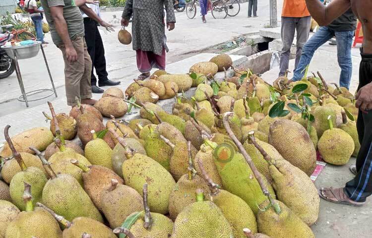 আকারভেদে বিভিন্ন দামে বিক্রি হচ্ছে কাঁঠাল। ছবি: আলমগীর হান্নান