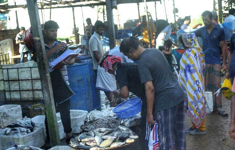 মেরুল বাড্ডা ডিআইটি প্রজেক্টের মাছের আড়ত থেকে মাছ কিনে নিচ্ছেন পাইকাররা। ছবি: মাহবুব আলম