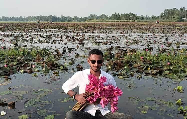 প্রতিবছর আগস্ট থেকে সেপ্টেম্বর মাস পর্যন্ত এখানে শাপলার মৌসুম। প্রায় ১০ হাজার একর জলাভূমির মধ্যে জন্ম নেওয়া লাল, নীল ও সাদা রঙের কোটি কোটি শাপলা । এক নজর দেখার জন্য সূর্যোদয় থেকে শুরু করে সূর্যাস্ত পর্যন্ত নানা বয়সের হাজারো মানুষের ভিড় লেগে থাকে। ছবি: ফজলুল করিম ফারাজী