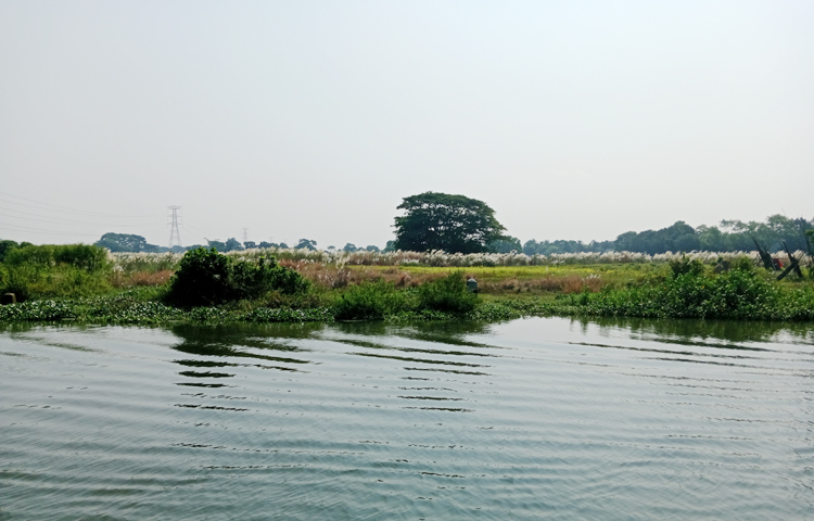 বৃহত্তর ঢাকাকে কেন্দ্র করে বুড়িগঙ্গা, ধলেশ্বরী নদী, মেঘনা, শীতলক্ষ্যা, বালু নদী, টঙ্গী খাল ও তুরাগ নদী আবর্তিত হয়েছে। এখানে দক্ষিণপাড়া বালু নদীর তীরে কাশবন দেখা যায়। পেছনে শান্ত গ্রাম। ছবি: ফাত্তাহ তানভীর রানা