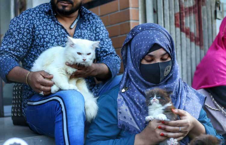 হাটে পোষা বিড়াল নিয়ে এসেছেন তারা।