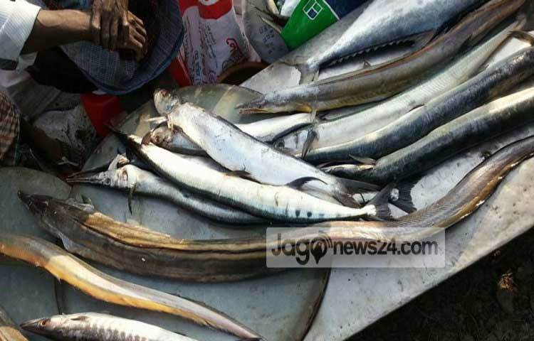 চাষের মাছের পাশাপাশি নদীর বাঘাইড়, গাঙচিতল এবং দু-এক ধরনের সামুদ্রিক মাছও উঠেছে এ মেলায়।