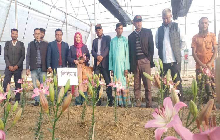 সম্প্রতি উপজেলা কৃষি কর্মকর্তা সেলিনা পারভিন ফুলের বাগানটি পরিদর্শন শেষে কৃষি কর্মকর্তা বলেন, ‘সাধারণত শীতপ্রধান দেশগুলোতে সাদা, হলুদ, কমলা, গোলাপি, লাল ও বেগুনি রঙের লিলিয়াম ফুল দেখা যায়।