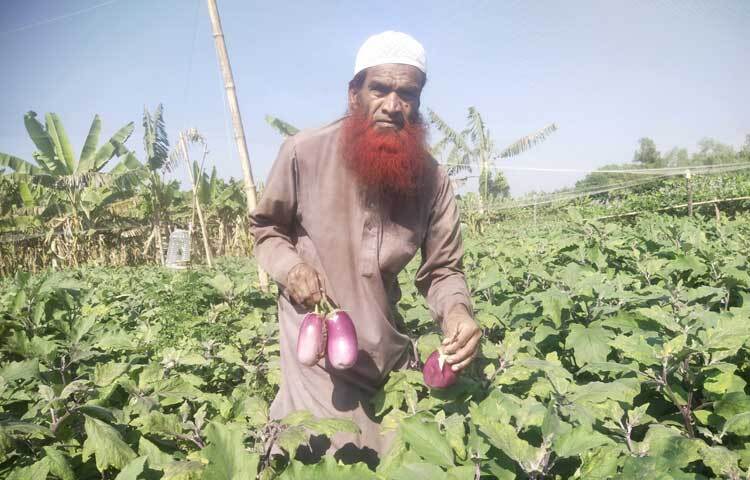 কৃষকরা বলেন, যে খাবার বিপদ ডেকে আনে, তা আমরা উৎপাদন করবো না। তাই বিষমুক্ত সবজি চাষের এ উদ্যোগ।