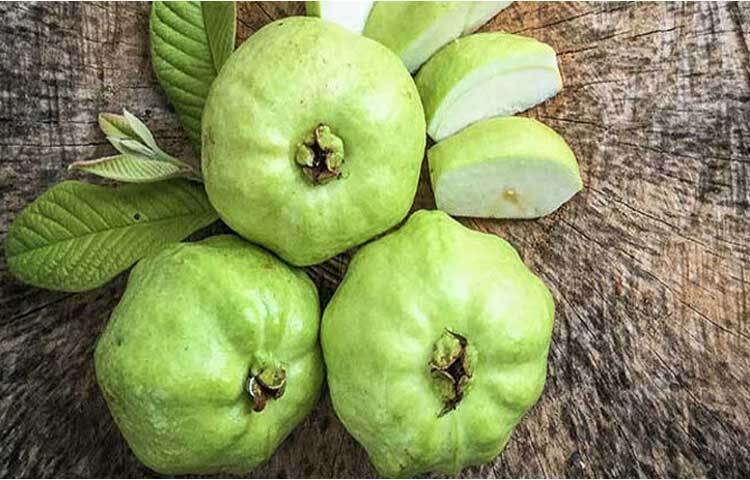 পেয়ারায় ভিটামিন, মিনারেল এবং ফাইবারের পাশাপাশি অ্যান্টিঅক্সিডেন্টসও প্রচুর পরিমাণে থাকে। শুধু পেয়ারা নয় এর পাতাও স্বাস্থ্যের জন্য উপকারী। বিশেষ করে ডায়াবেটিস সারাতে পেয়ারা ও এর পাতা দুর্দান্ত কার্যকরী।