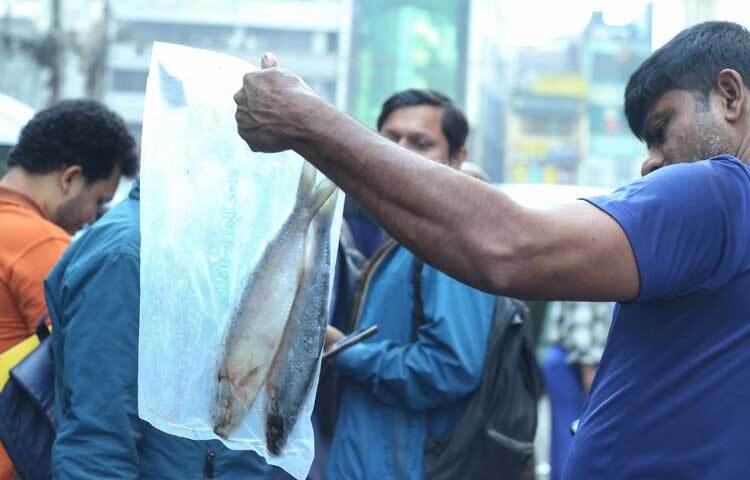 ফরিদা আখতার বলেন, ইলিশ রক্ষার জন্য আমরা নানা উদ্যোগ নেই। অনেক সময় মাছ ধরা বন্ধ রাখতে হয়। আমরা বাজারের দাম কমাতে পারি না।