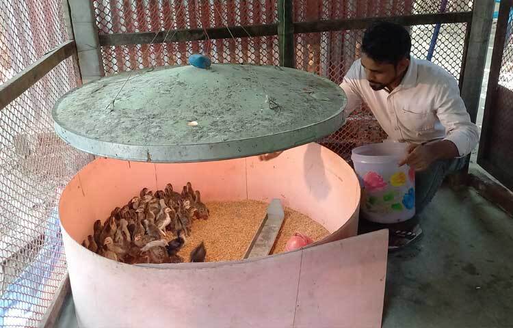 নিজের খামারের ডিম দিয়েই মেশিনের সাহায্যে প্রতি মাসে উৎপাদন করছেন প্রায় ৩ হাজার বাচ্চা। যা মুহূর্তের মধ্যেই বিক্রি হয়ে যাচ্ছে। চাহিদা অনুযায়ী পারছেন না সরবরাহ করতে।