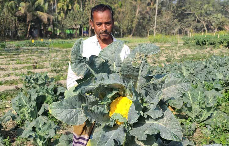 রঙিন কপি চাষের খবর স্থানীয়ভাবে জানাজানি হলে আশপাশের এলাকা থেকে কৃষকসহ বিভিন্ন শ্রেণি-পেশার মানুষ দেখতে আসেন।
