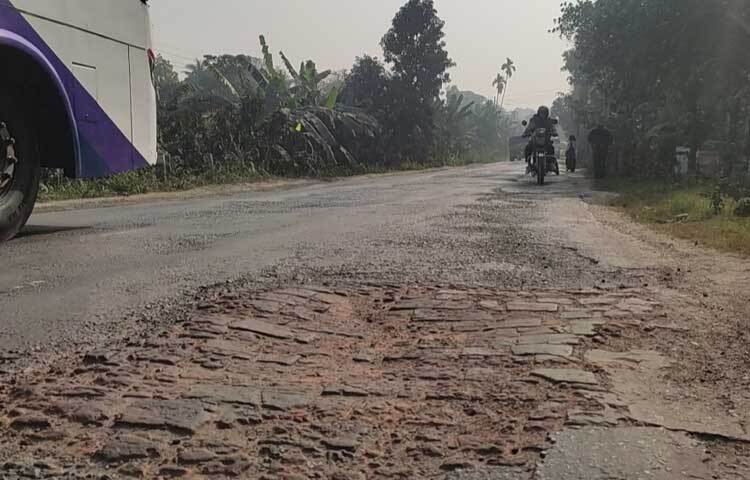 জানা যায়, পদ্মা সেতু চালুর পর এ মহাসড়কে উত্তরবঙ্গের যানবাহনের চাপ বেড়েছে। যাত্রী ও গাড়িচালকদের অভিযোগ, সড়কের দৈন্যদশা নিয়ে সড়ক বিভাগের টনক নড়ছে না।