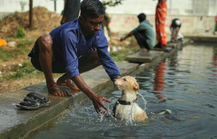 এদিকে পার্কে ফিরেই সঙ্গী টাইসনের যত্নে ব্যস্ত হয়ে পড়েন রতন।