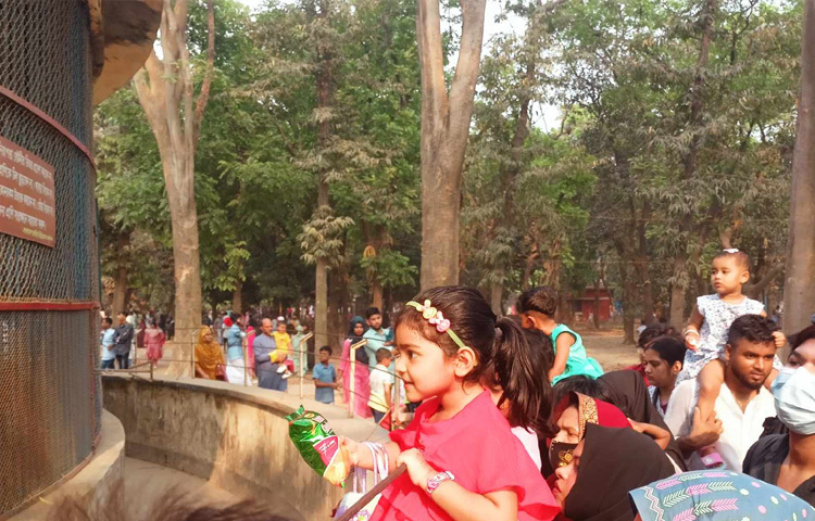 ঈদ উপলক্ষে পরিচ্ছন্নতা ও সৌন্দর্যবর্ধনের কাজ শেষ হয়েছে। গাছের গোড়ায় দেওয়া হয়েছে রঙ, বসানো হয়েছে নতুন দিকনির্দেশক ও সতর্কতামূলক সাইনবোর্ড।