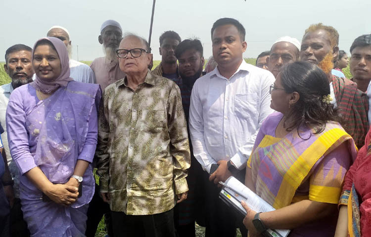 খাদ্য ও ভূমি উপদেষ্টা আলী ইমাম মজুমদার আজ কিশোরগঞ্জের অষ্টগ্রামে ভাতশালায় হাওরে বোরো ধানের ফলন পরিদর্শন করেন। ছবি: পিআইডি