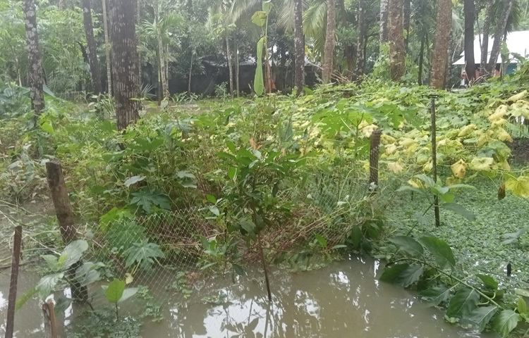 শুধু জনপদই নয়, পানিতে তলিয়ে গেছে বিস্তীর্ণ কৃষিজমি।