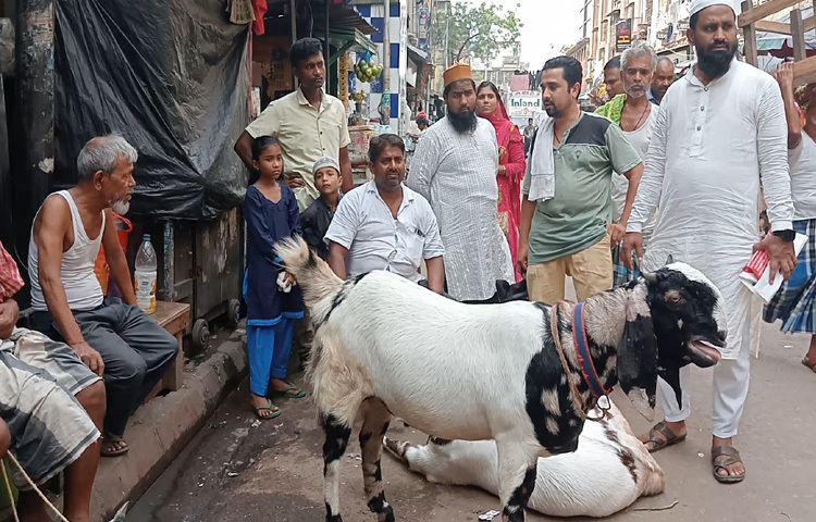পশ্চিমবঙ্গ বরাবরই কোরবানির ঈদ শান্তিপূর্ণ পরিবেশে পালন করে আসছে।