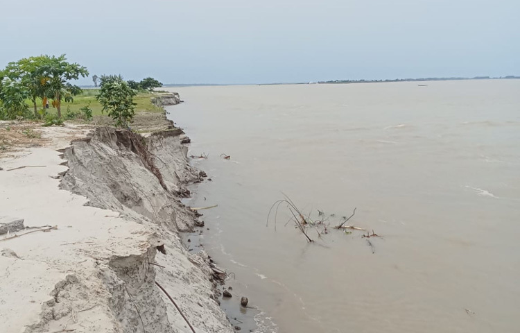 উপজেলার নয়ারহাট ইউনিয়নের বজরাদিয়ার খাতা ও চিলমারী ইউনিয়নের চর শাখাহাতি এলাকা-এই দুই স্থান যেন ব্রহ্মপুত্রের রোষানলে সবচেয়ে বেশি ক্ষতিগ্রস্ত। দুই সপ্তাহেই বিলীন হয়েছে দেড় শতাধিক বসতভিটা। হারিয়েছে গ্রামীণ রাস্তাঘাট, ফসলি জমি, এমনকি শিক্ষাপ্রতিষ্ঠান।