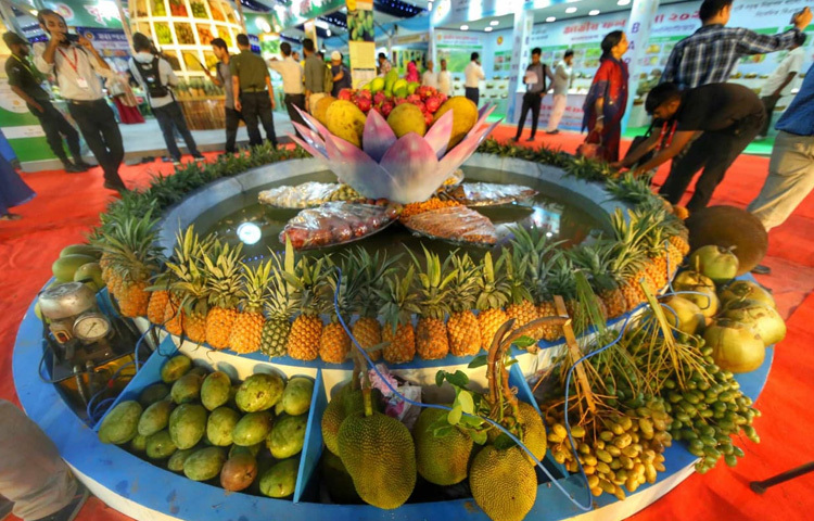 সকাল থেকেই মেলার মাঠে ভিড় করছেন ফলপ্রেমী মানুষজন।