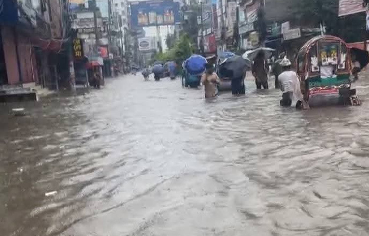 শহরের শহীদ শহীদুল্লা কায়সার সড়ক, রামপুর শাহীন একাডেমি এলাকা, পাঠান বাড়ি, নাজির রোড, পেট্রো বাংলা প্রায় প্রতিটি এলাকা এখন হাঁটু থেকে কোমর পানিতে তলিয়ে আছে।