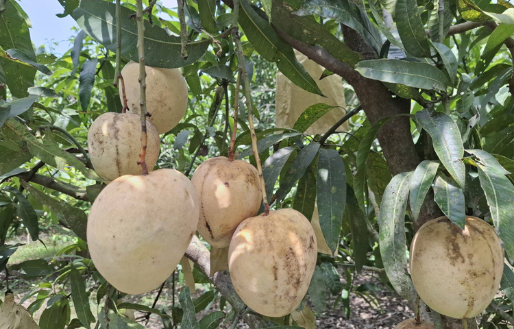 একসময় চাকরির পেছনে ছোটার জীবন আজ সফল উদ্যোক্তার গল্প এ যেন বদলে যাওয়া এক অধ্যায়।