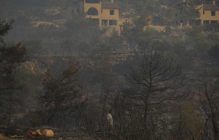 দাবানলের সময় সাইপ্রাসের সৌনি গ্রামের বাসিন্দা আন্তোনিস ক্রিস্টো একটি পুড়ে যাওয়া এলাকার দিকে তাকিয়ে আছেন।
