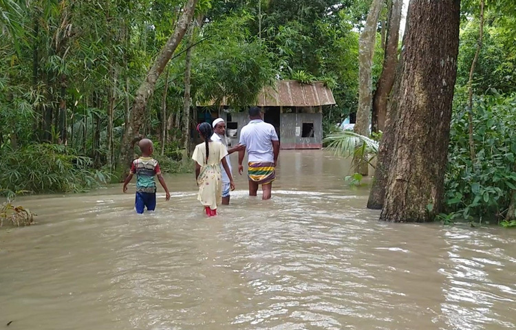 পানি উন্নয়ন বোর্ড চাঁদপুরের নির্বাহী প্রকৌশলী মো. জহরুল হক বলেন, ‘আমরা নদীর পানি বাড়ার খবর জানি এবং পরিস্থিতি পর্যবেক্ষণে আছি। তবে মেঘনার পানি সাধারণত দীর্ঘস্থায়ী হয় না।’