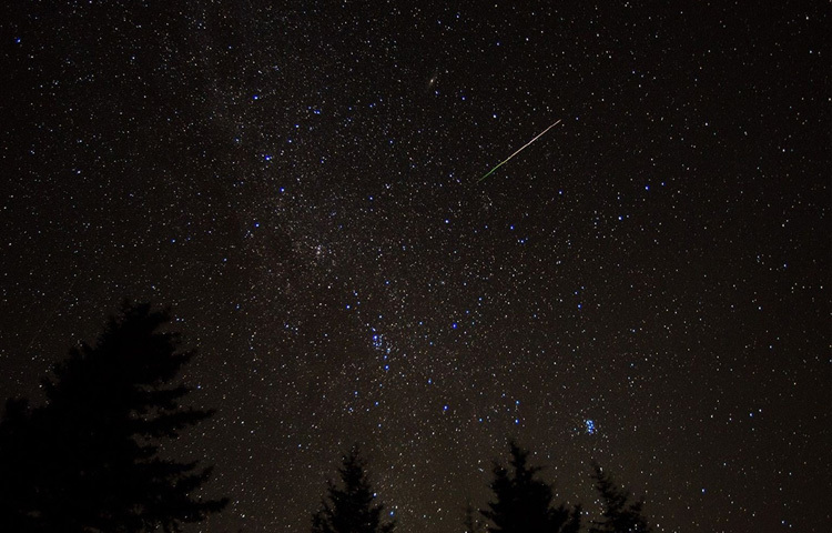 এমন অপার্থিব দৃশ্য ধারণ করতে বহুবার ক্যামেরা তাক করেছে মার্কিন মহাকাশ গবেষণা সংস্থা নাসা। তাদের ওয়েবসাইটে ছড়িয়ে আছে উল্কাবৃষ্টির অসংখ্য শ্বাসরুদ্ধকর মুহূর্ত। এর মধ্য থেকে বেছে নেওয়া কিছু ছবি যেন আপনাকে নিয়ে যাবে তারার বৃষ্টির সেই স্বপ্নিল জগতে যেখানে প্রতিটি ঝলক মনে করিয়ে দেয়, মহাবিশ্বের সৌন্দর্য কতটা নিঃশ্বাস কেড়ে নেওয়ার মতো হতে পারে।