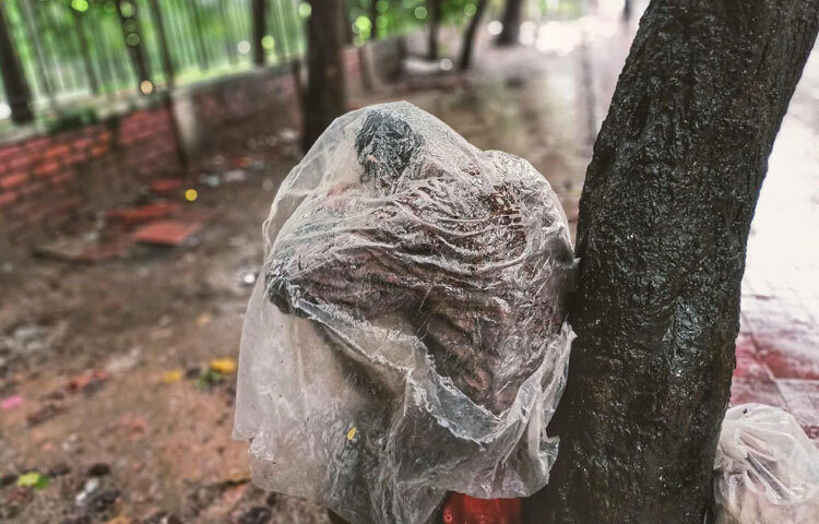 ফুটপাতের দোকানদারদের এই দুঃখের সঙ্গী হয়ে আছেন রাস্তায় থাকা মানুষগুলো। বৃষ্টির পানি গড়িয়ে পড়ছে তাদের গায়ে, অনেকেই কাঁথা কিংবা পলিথিন মুড়ে বসে আছেন ফুটপাতে। মাথা গোঁজার ঠাঁই না থাকায় ভিজে শরীর নিয়ে রাত কাটানোই তাদের নিয়তি। বৃষ্টির শব্দ অনেকের কাছে সুর হয়ে এলেও, এদের কাছে তা শুধুই কষ্ট আর অন্ধকারের প্রতিচ্ছবি।