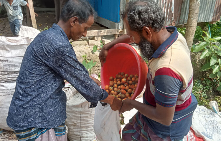 চারটি উপজেলার ৩২টি ইউনিয়নের ৪৭১টি গ্রামে নিয়ে ঝালকাঠি জেলায় প্রতিবছর কয়েক কোটি টাকার সুপারি ক্রয়-বিক্রয় হয়। আবহাওয়া অনুকূলে থাকায় এবার ঝালকাঠিতে সুপারির ভালো ফলন হয়েছে। প্রতি কুড়ি বা ২১০টি সুপারি বিক্রি হচ্ছে ২২০টাকা থেকে ২৫০ টাকায়। ফলন ভালো হলেও দাম কম হওয়ায় আশাহত চাষিরা।