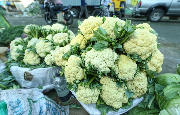 ফুলকপি ৩০