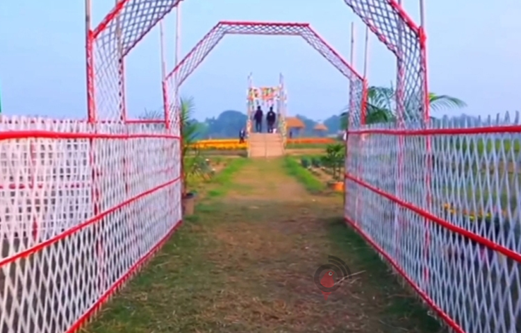 ফলে নতুন বছরের শুরুতে এই বাগানটি উদ্বোধন হওয়ার পর প্রতিদিন ২০ টাকা দামে টিকেট কেটে এই বাগান দেখতে কিংবা এই বাগানে সময় কাটাতে ২০০-৩০০ জন দর্শনার্থী এসে লাল, হলুদ ও সবুজ ফুলের সৌন্দর্যে মুগ্ধ হয়ে কেউ  ফটোগ্রাফারদের দিয়ে ছবি তুলছেন, কেউ টিকটক করছেন। এতে বিকল্প আয়ের পথ তৈরি হয়েছে সাত উদ্যোক্তাসহ সাত ফটোগ্রাফারদের।  ছবি: লিপসন আহমেদ