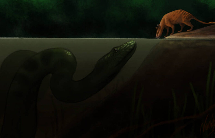 জলভাগে টাইটানোবোয়া ছিল এক আতঙ্কের নাম। জলে শরীরের ভার বহন করার সুবিধা পাওয়ায় দ্রুত ছুটতে পারতো এবং শক্তিও তুলনামূলক কম ব্যয় হতো। জলে থাকার আরেকটি সুবিধা ছিল, সে তার শরীরের অনেকখানি অংশ পানিতে ডুবিয়ে রেখে শিকারের চোখে ধুলো দিতে পারতো। ছবি: সংগৃহীত