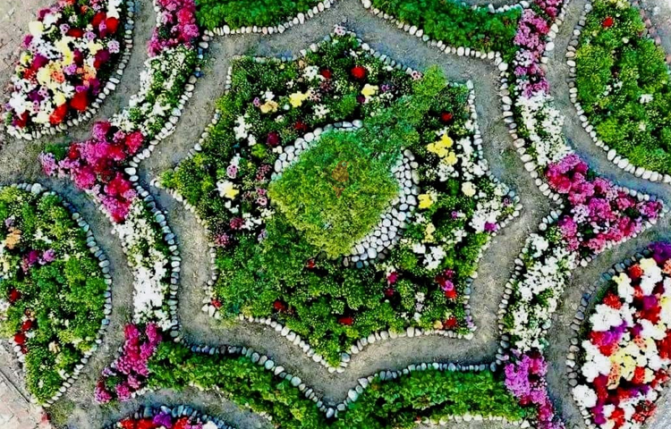 দর্শকপ্রিয় করতে বাগান সাজানো হয়েছে দুবাইয়ের মিরাকল গার্ডেনের আদলে। বাহারি সব ফুলের সৌরভ ছড়িয়ে পড়ছে চারদিকে। ছবি: এম মাঈন উদ্দিন