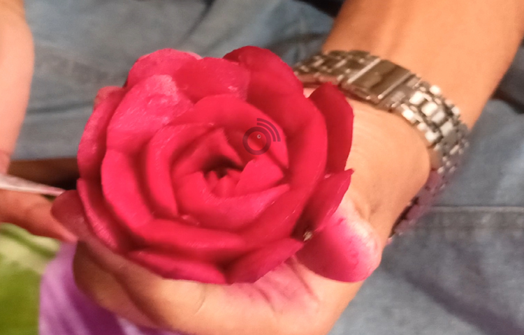 ফারদিন জানান, তিনি তার এ ফুড কার্ভিং করতে সবজির মধ্যে ব্যবহার করেন মিষ্টি কুমড়া, লাউ, পেঁপে, গাজর, শালগম, বিটরুট, ক্যাপসিকাম, লেটুস পাতা, টমেটো ইত্যাদি। ছবি: বিধান মজুমদার অনি