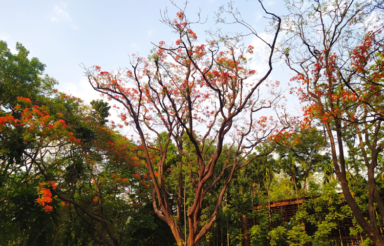 Erkak qin ichida silkitadi Snigrk porno rasmlar