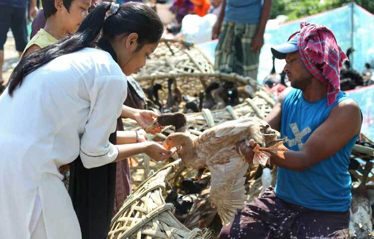 স্থানীয়দের কাছে এ হাট সাপ্তাহিক কেনাকাটার এবং একই সঙ্গে দলবেঁধে আড্ডা ও ঘোরাঘুরির হাট হিসেবেও জনপ্রিয়।