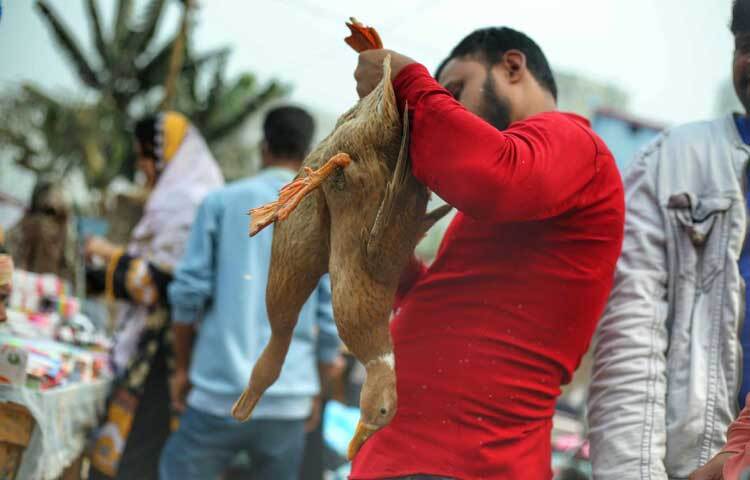 সবচেয়ে কমদামে পাওয়া যাচ্ছে বেইজিং হাঁস। আকারভেদে ৫০০-৫৫০ টাকা গুনতে হচ্ছে প্রতি হাঁসের জন্য।