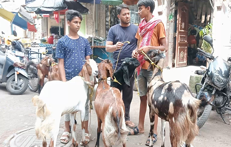 ক্রেতা-বিক্রেতার মুখে ভিন্ন ভিন্ন গল্প, তবে প্রত্যাশা একটাই একটি সুন্দর, শান্তিপূর্ণ ও ত্যাগের মহিমায় ভাসা ঈদ।