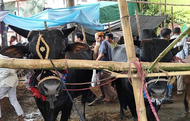 অনেক ক্রেতা এখনো অপেক্ষা করছেন দাম কমার।
