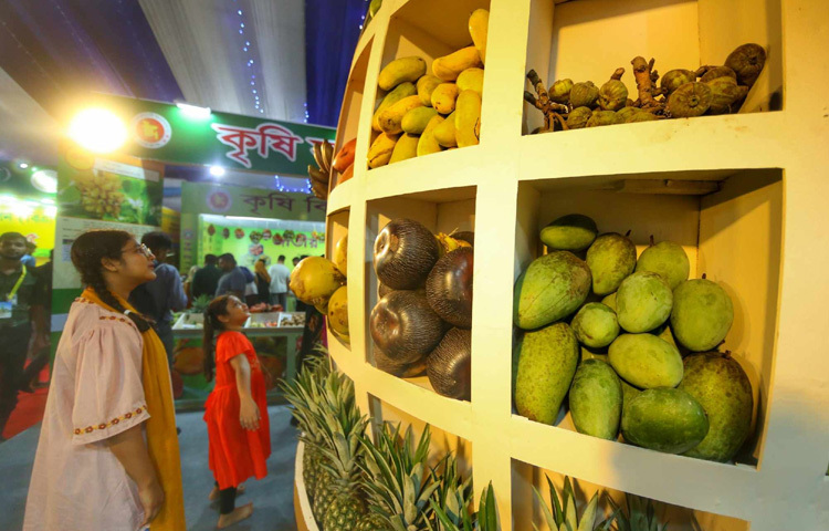 শিশুরা কৌতুহলী চোখে ঘুরে বেড়াচ্ছে স্টল থেকে স্টলে, খাচ্ছে পেয়ারা, জাম আর আমড়া।