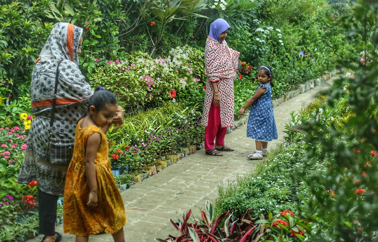মেলায় এসে দেখা গেল, শিশুদের চোখে মুখে এক ধরনের খেলা আর বিস্ময়। অচেনা গাছ দেখে কেউ প্রশ্ন করছে বাবা-মাকে, কেউবা মুগ্ধ হয়ে হাত বুলিয়ে নিচ্ছে পাতায় পাতায়।