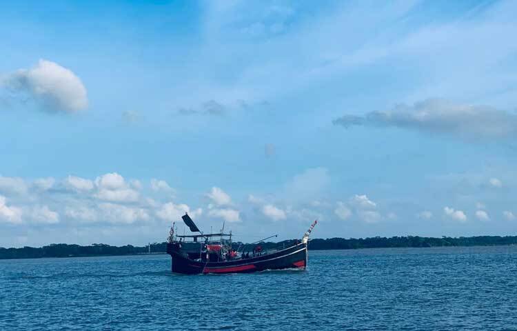 পাথরঘাটা উপজেলার হরিণঘাটা এলাকা সুন্দরবনের কাছাকাছি অবস্থিত ও এখানে ম্যানগ্রোভ বন ও নদীর যৌথ সৌন্দর্য আছে। এখানে ভ্রমণকারীরা নদীতে ডলফিনের খেলা দেখতে পারেন।