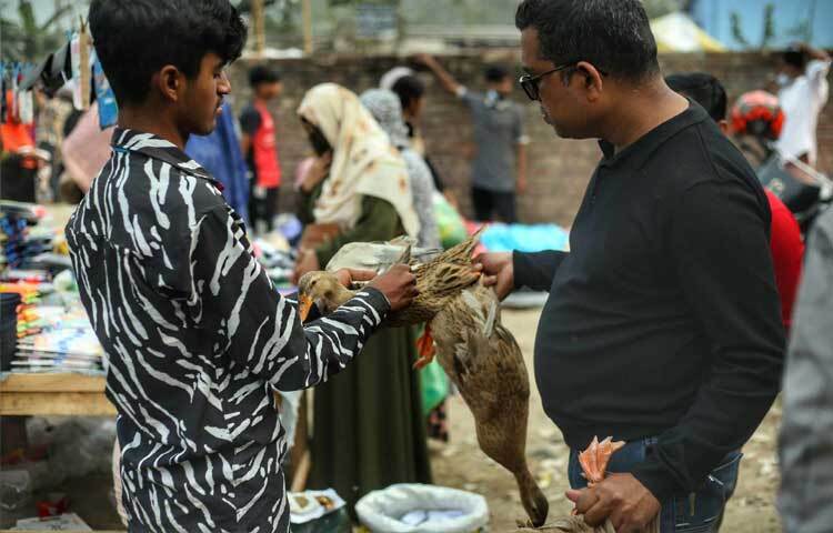 দরদাম করে হাঁস কিনছেন ক্রেতারা।