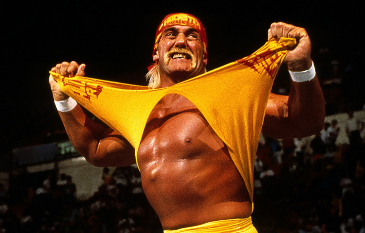 ক্যারিয়ারের একটি সময় (১৯৯৬) তিনি ডব্লিউডব্লিউই ছেড়ে ‘নিউ ওয়ার্ল্ড অর্ডার’ নামে একটি প্রতিদ্বন্দ্বী কুস্তি সংস্থায় যোগ দেন। তবুও ২০০৫ সালে তাকে ডব্লিউডব্লিউই ‘হল অফ ফেম’-এ অন্তর্ভুক্ত করা হয়।