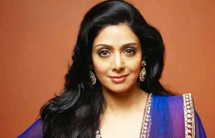 ১৯৮০ ও ১৯৯০ সালের দশকে শ্রীদেবী প্রায় সব ধরনের চরিত্রে অভিনয় করেছেন। রোমান্টিক, কমেডি, থ্রিলার, মেলোড্রামা সবকিছুতেই তিনি ছিলেন নিখুঁত।