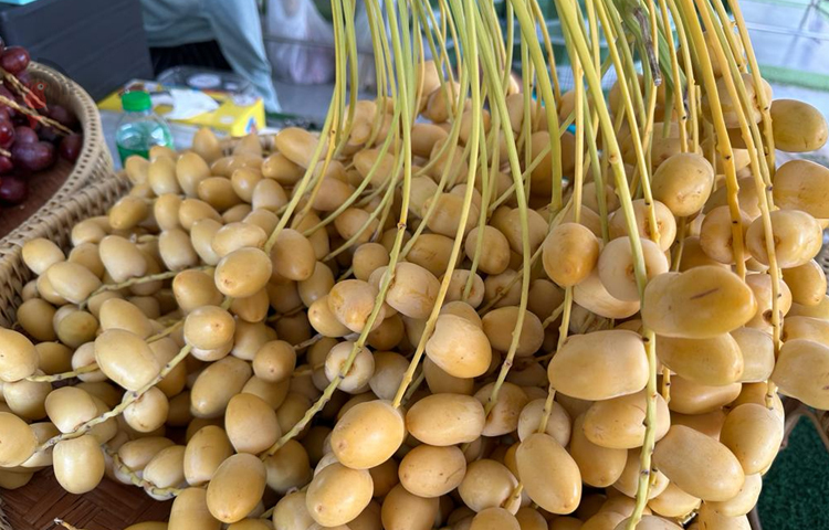 ২০০-১০০০ বাত পর্যন্ত প্রতি কেজি খেজুরের দাম রাখা হয়। আবার অনেক খেজুর থাইল্যান্ডের সবচেয়ে বড় পাইকারি ফল বাজার তালাক্ষায় আড়তে পাঠানো হয়। ছবি: এম মাঈন উদ্দিন