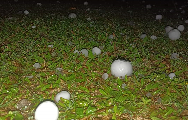 এছাড়া মাঠের ফসলেরও ক্ষয়ক্ষতির আশঙ্কা করছেন চাষিরা। ছবি: আহমেদ জামিল