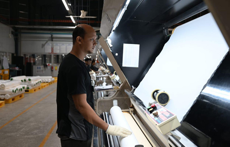 এবারের সম্মেলনে বিদেশি বিনিয়োগকারীদের কাছে সম্ভাবনাময় মোট পাঁচটি সেক্টরে (নবায়নযোগ্য জ্বালানি, কৃষি প্রক্রিয়াকরণ, ফার্মাসিটিক্যাল, ডিজিটাল ইকোনমি এবং টেক্সটাইল) বিনিয়োগের সুযোগ-সুবিধা তুলে ধরে উৎসাহিত করা হবে।