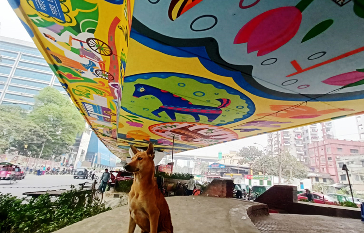 সৌন্দর্য বর্ধনের পাশাপাশি ফ্লাইওভারের বিভিন্ন পিলারে সিসিটিভি ক্যামেরা বসানো হবে, যাতে কেউ এসব চিত্রকর্ম নষ্ট করতে না পারে। ছবি: মাহবুব আলম